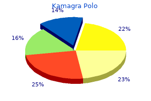 generic kamagra polo 100 mg line